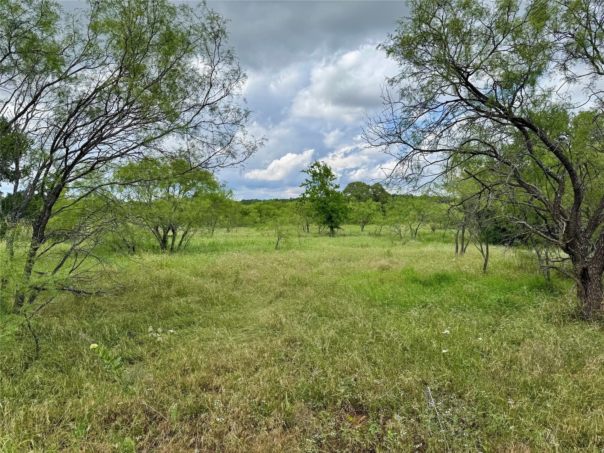 6.54 acres in Palo Pinto County - photo 14