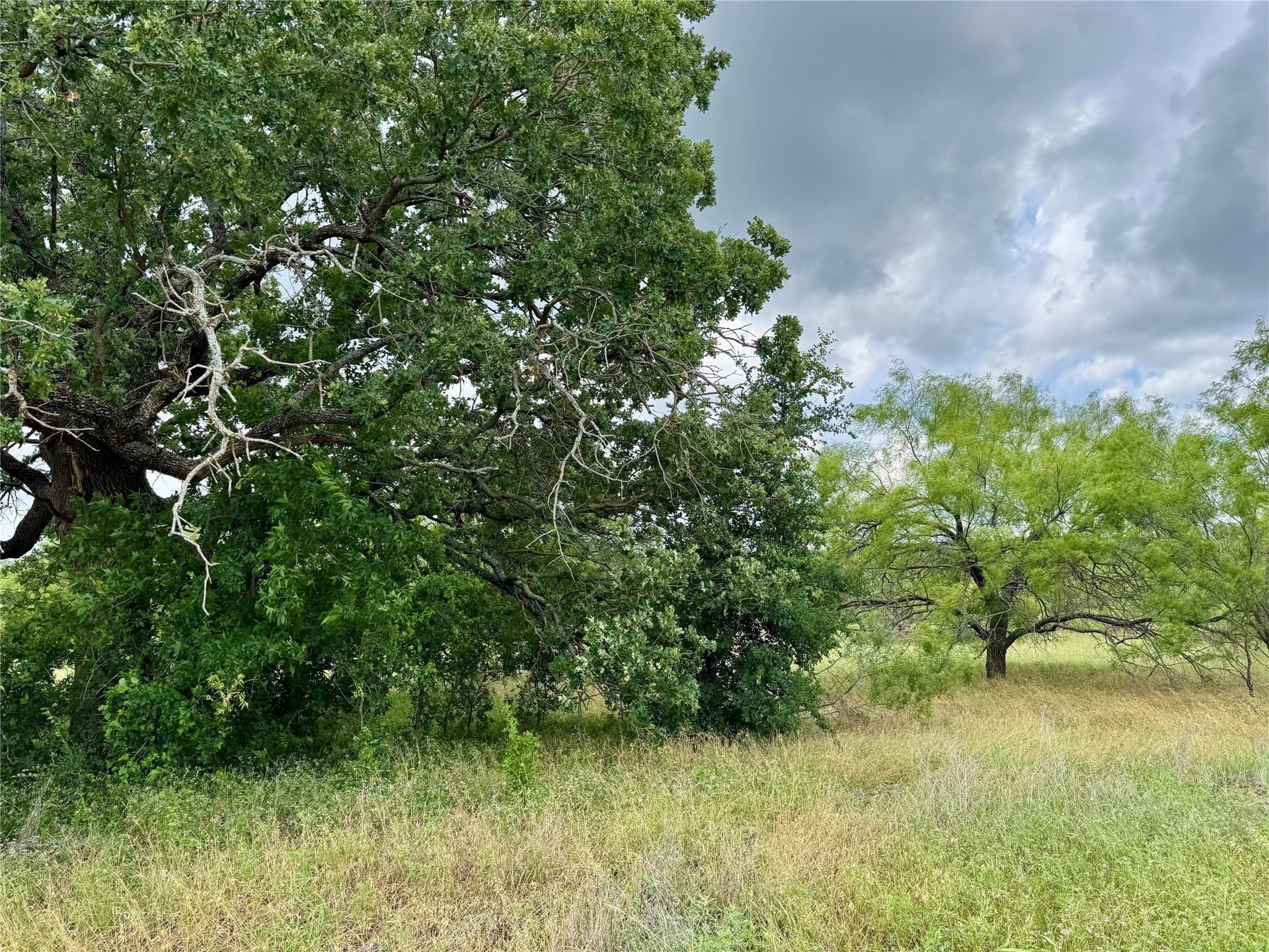 6.54 acres in Palo Pinto County - photo 15