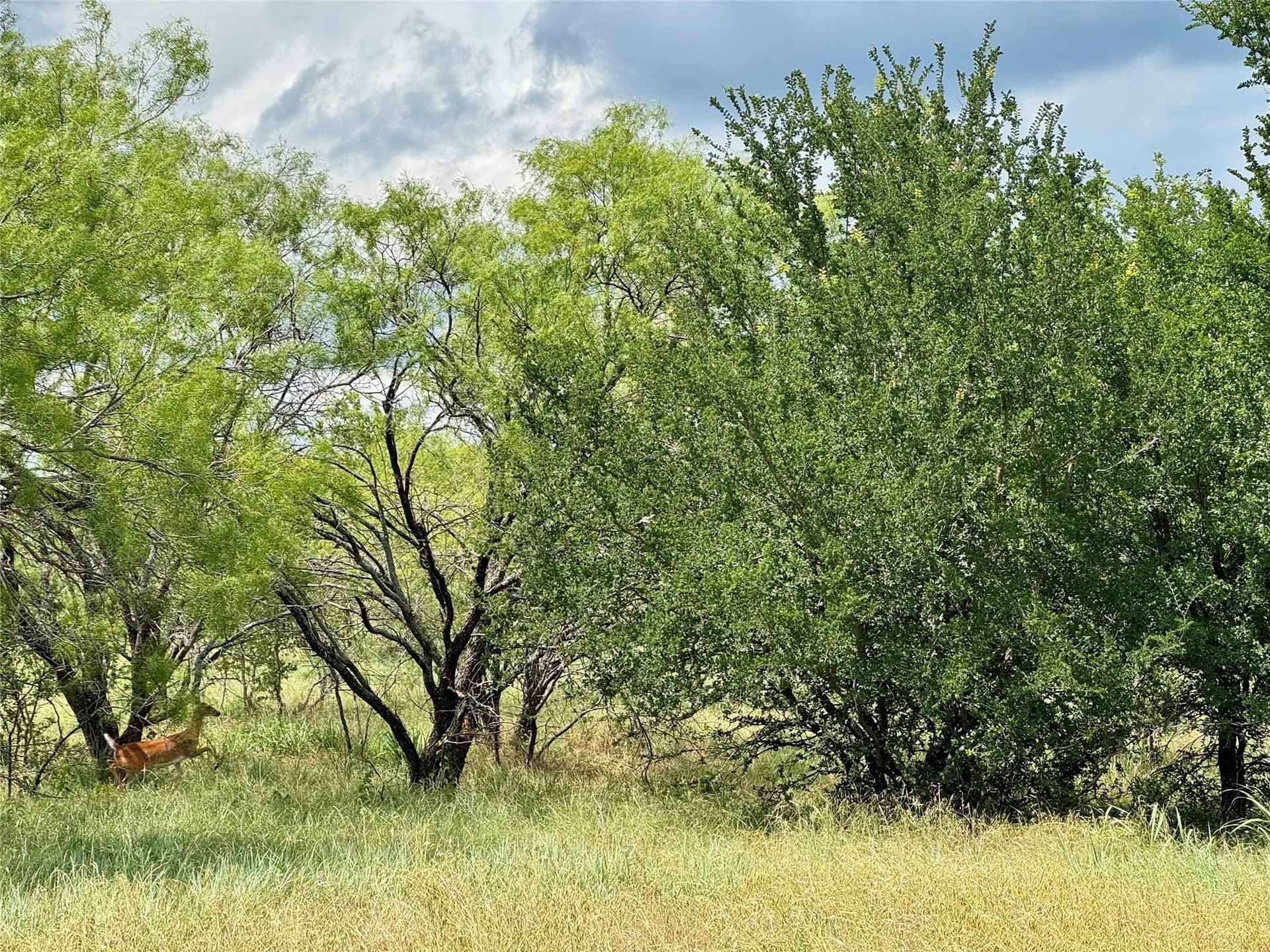 6.54 acres in Palo Pinto County - photo 8