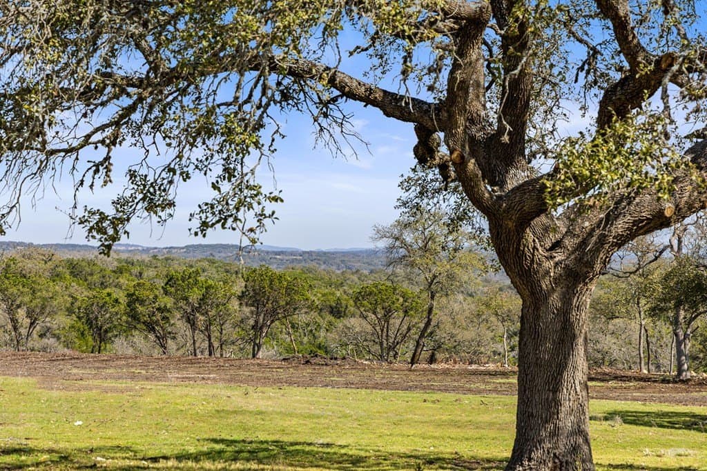 147 acres in Blanco County gallery image 2