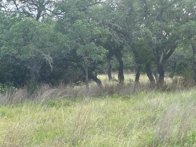 10 acres in Kerr County featured view