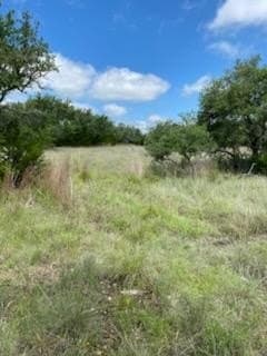 10 acres in Kerr County gallery image 4