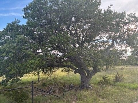 10 acres in Kerr County gallery image 4
