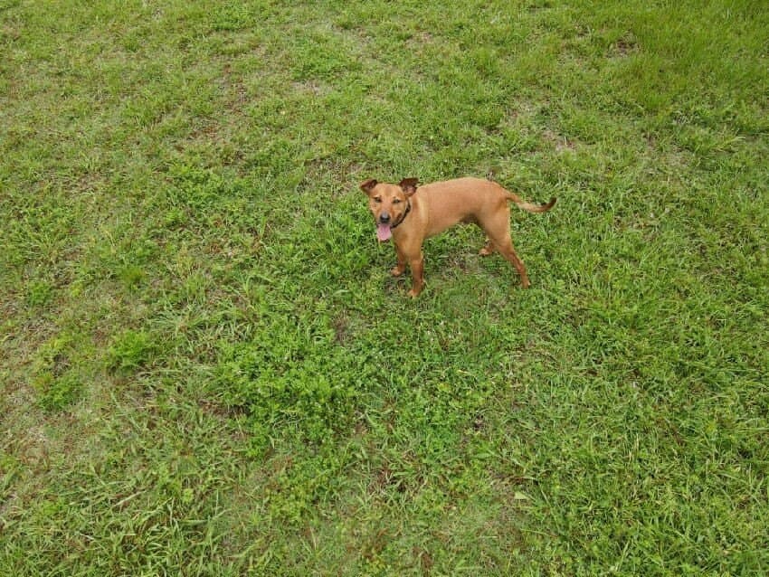 0.32 acres in Denton County - photo 4