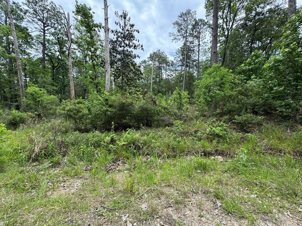 0.46 acres in Texas County featured view