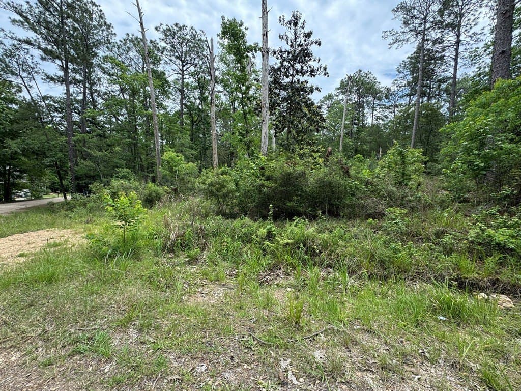 0.46 acres in Texas County gallery image 4
