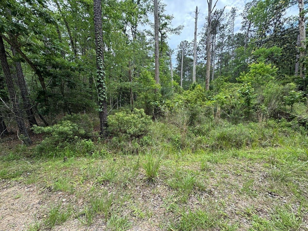 0.46 acres in Texas County gallery image 2