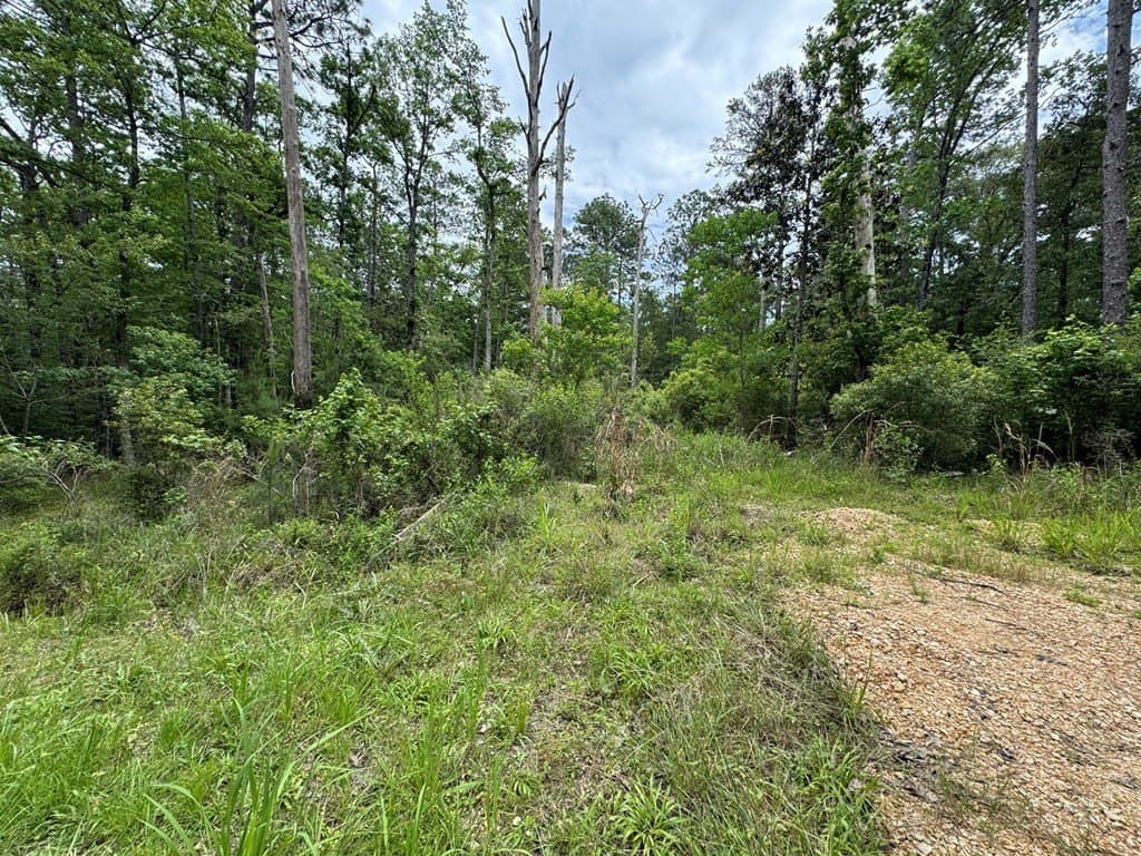 0.46 acres in Texas County gallery image 3