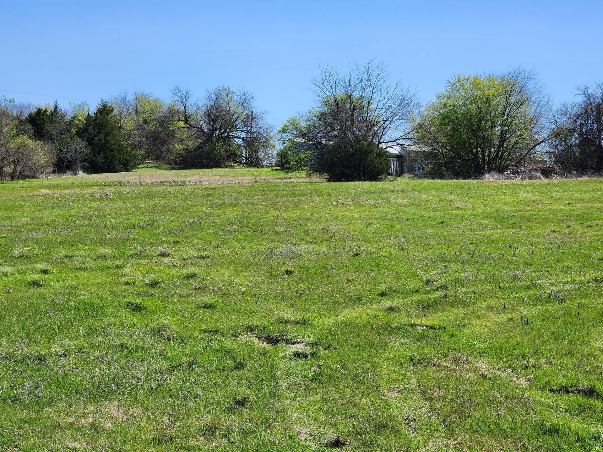 17.4 acres in Collin County - photo 20