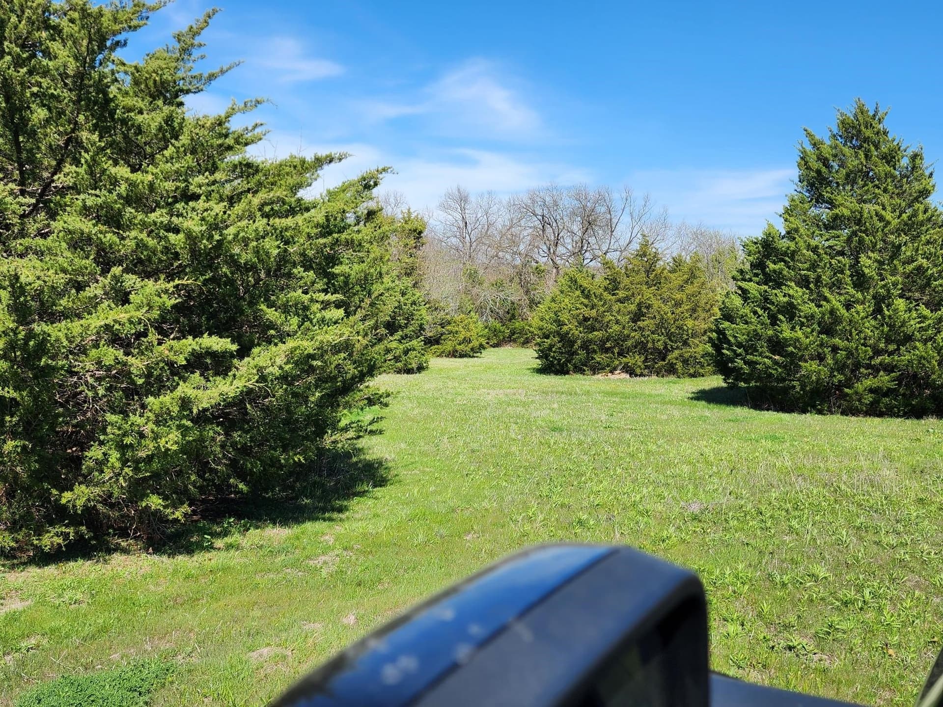 17.4 acres in Collin County - photo 14