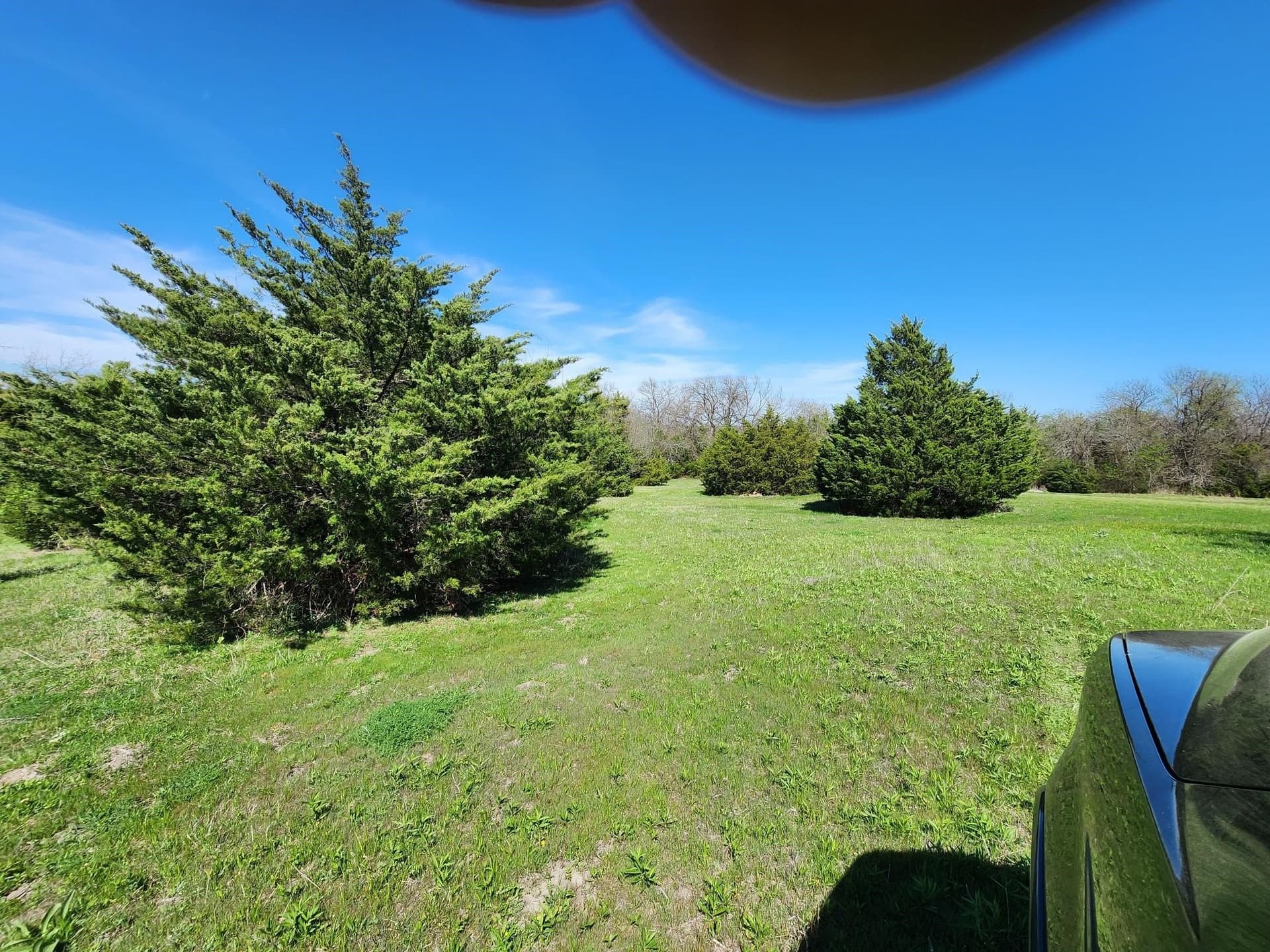 17.4 acres in Collin County - photo 9