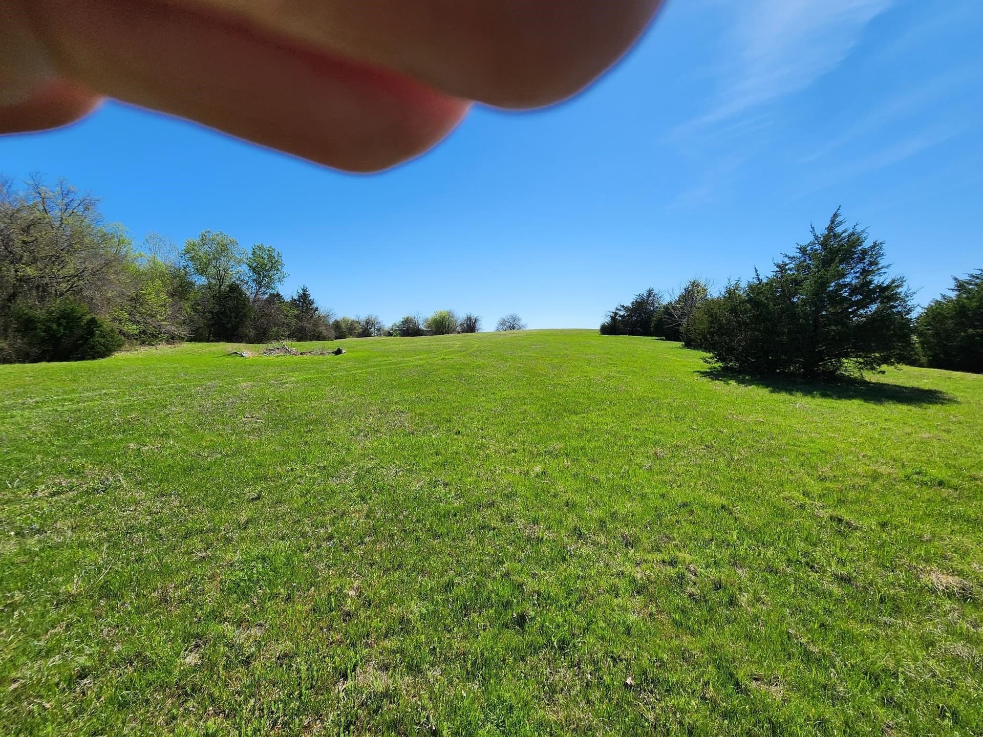 17.4 acres in Collin County gallery image 3