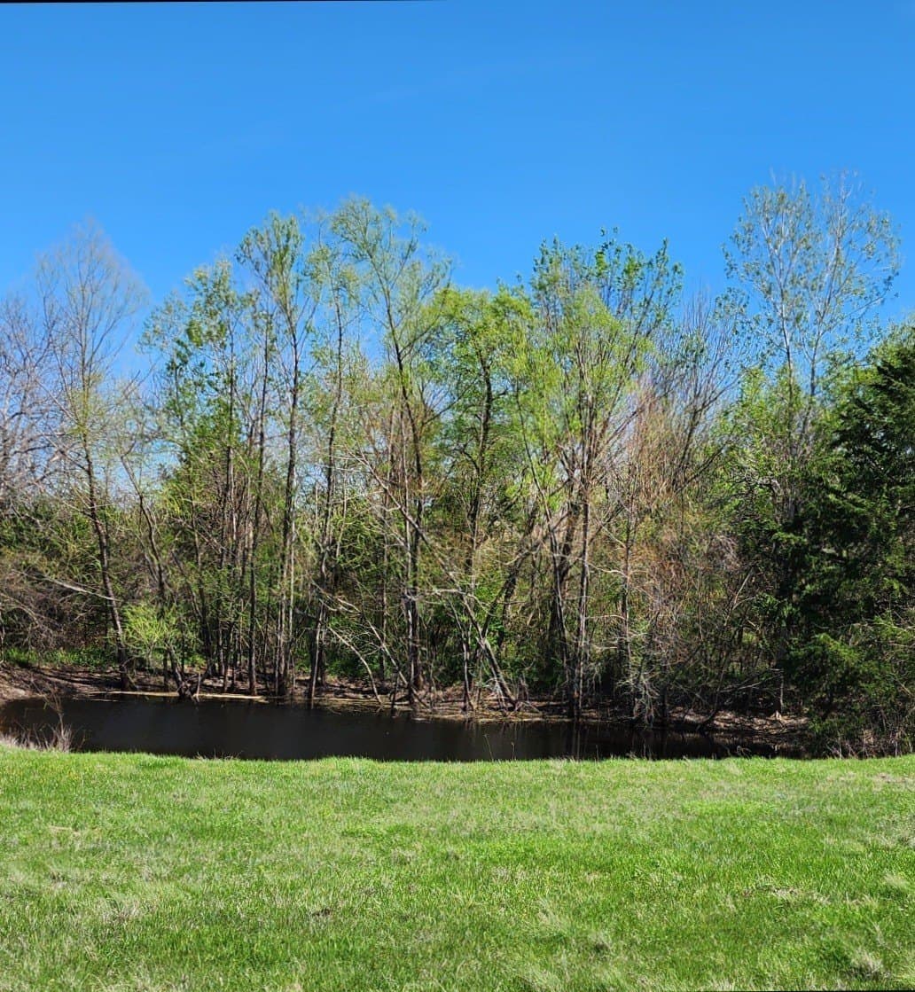 17.4 acres in Collin County - photo 8