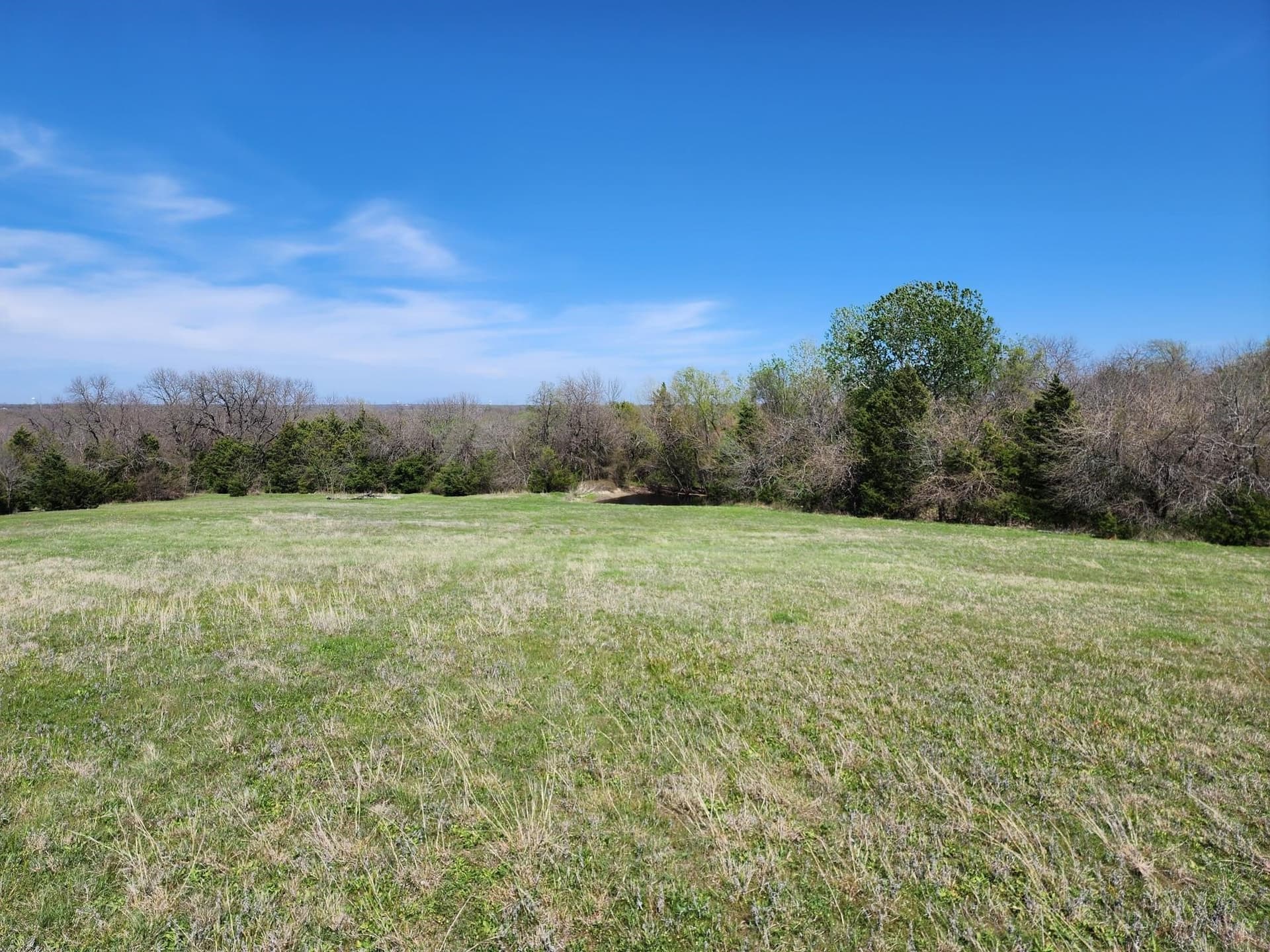 17.4 acres in Collin County - photo 18