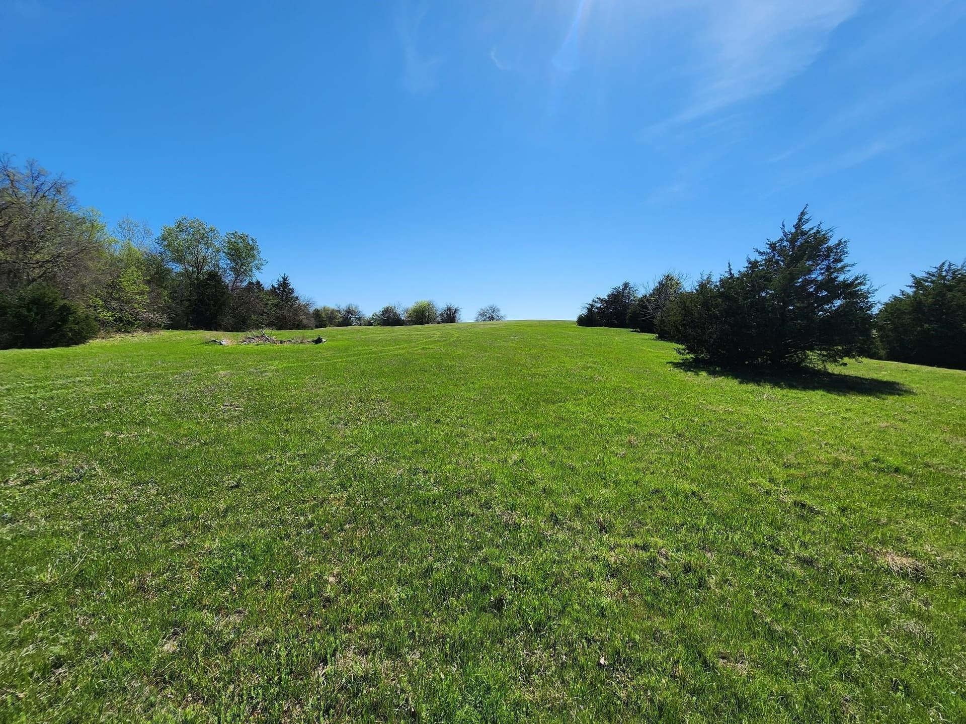 17.4 acres in Collin County - photo 22