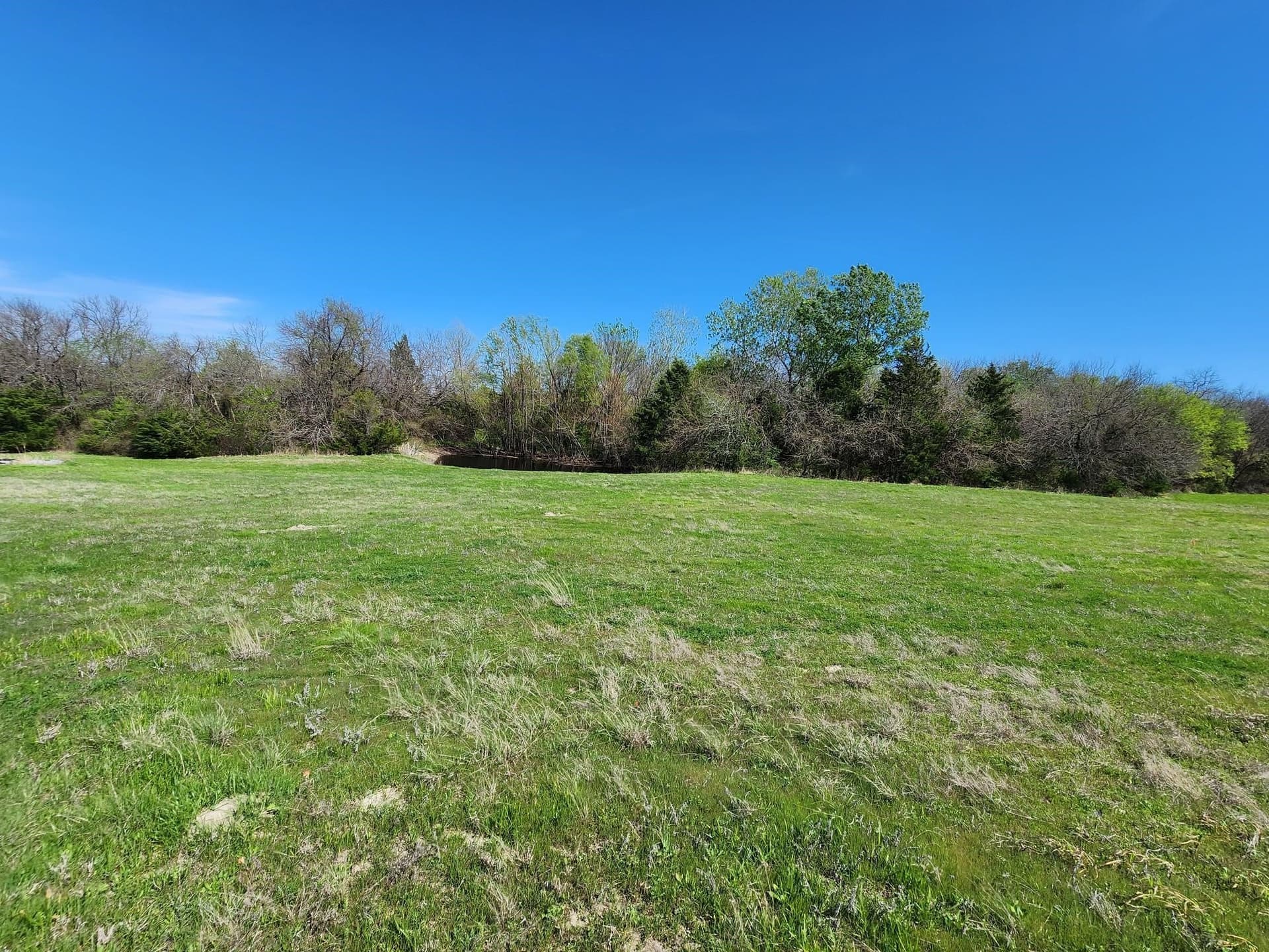 17.4 acres in Collin County - photo 11