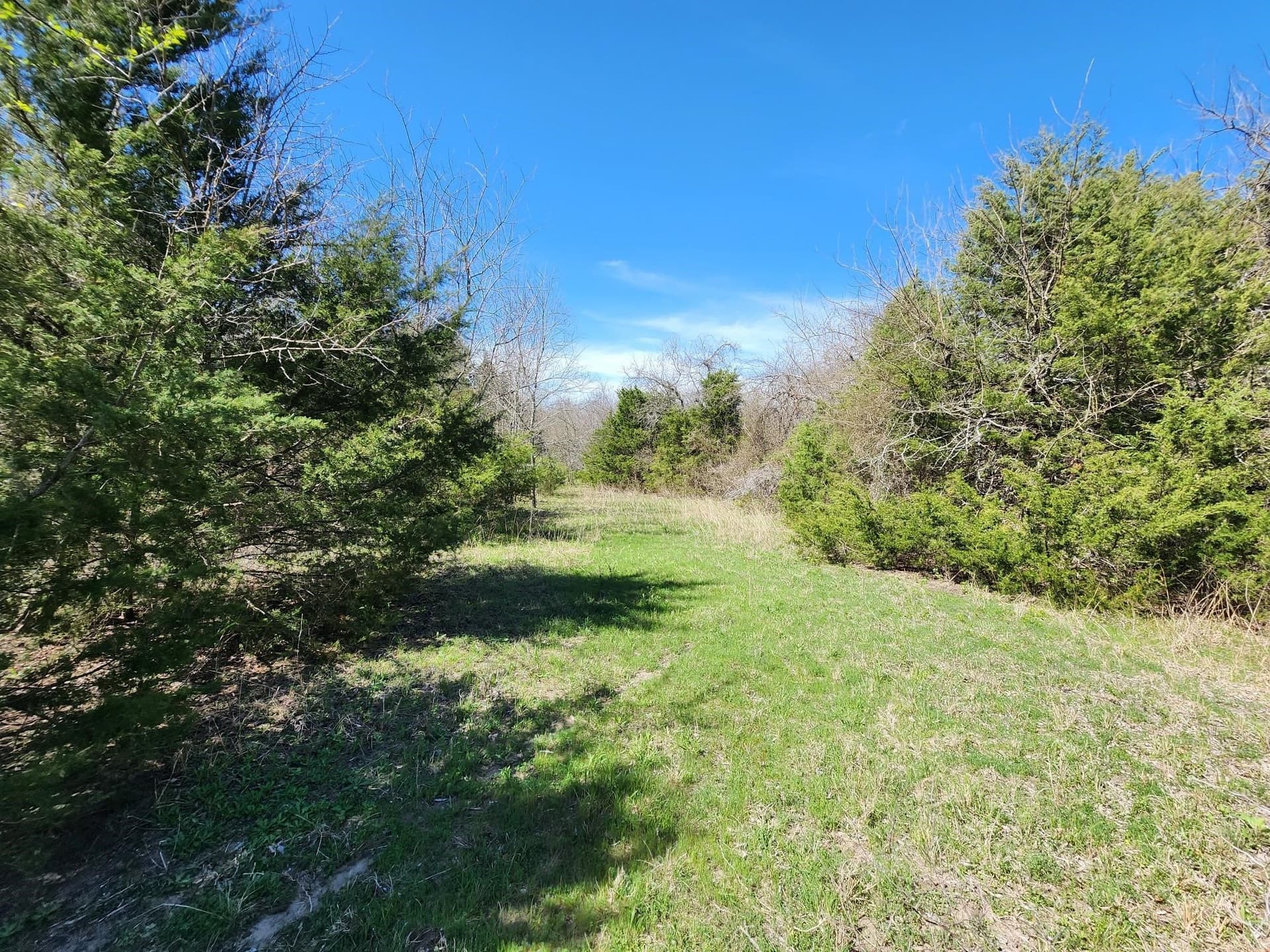 17.4 acres in Collin County - photo 21