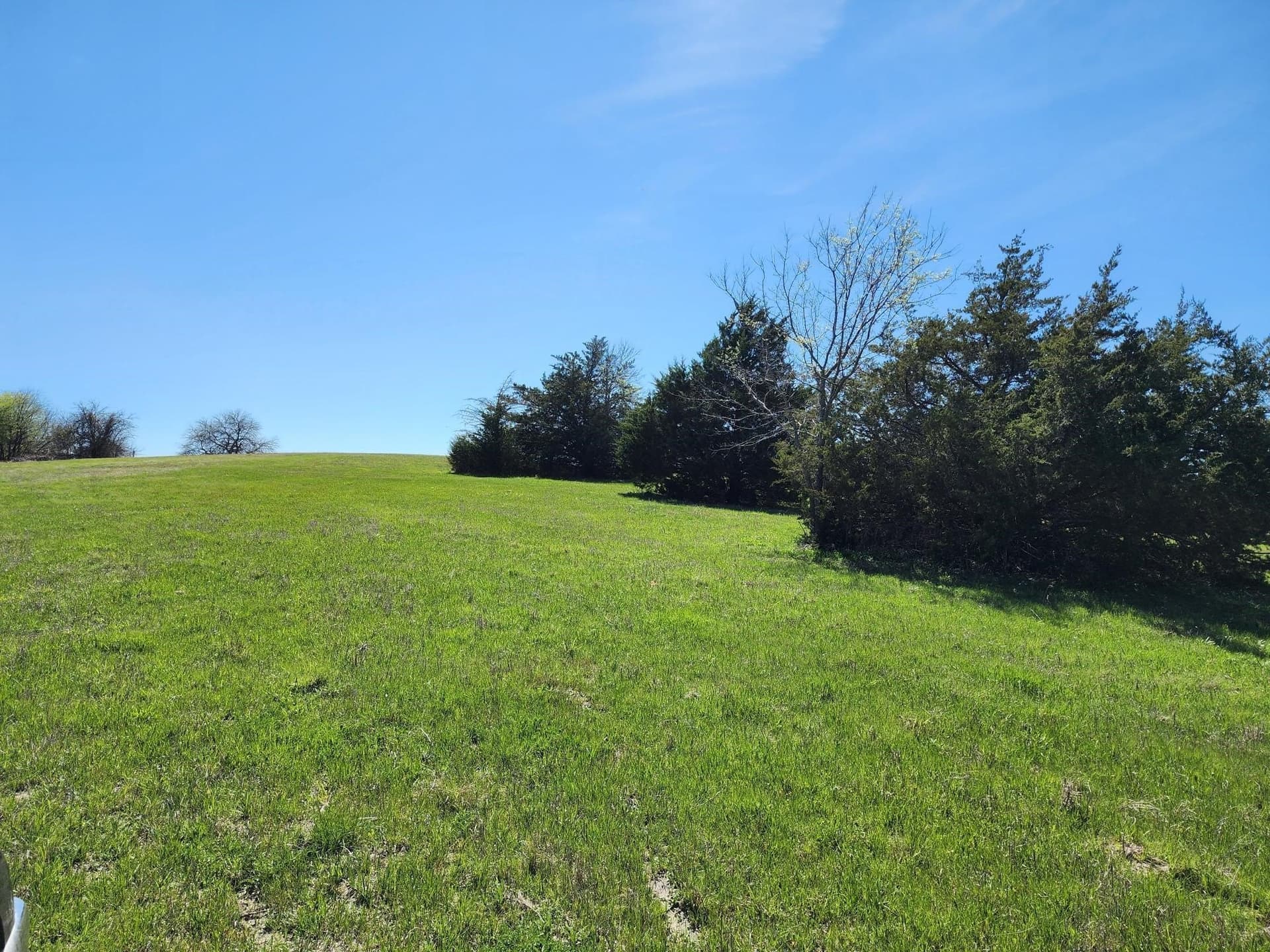 17.4 acres in Collin County - photo 13