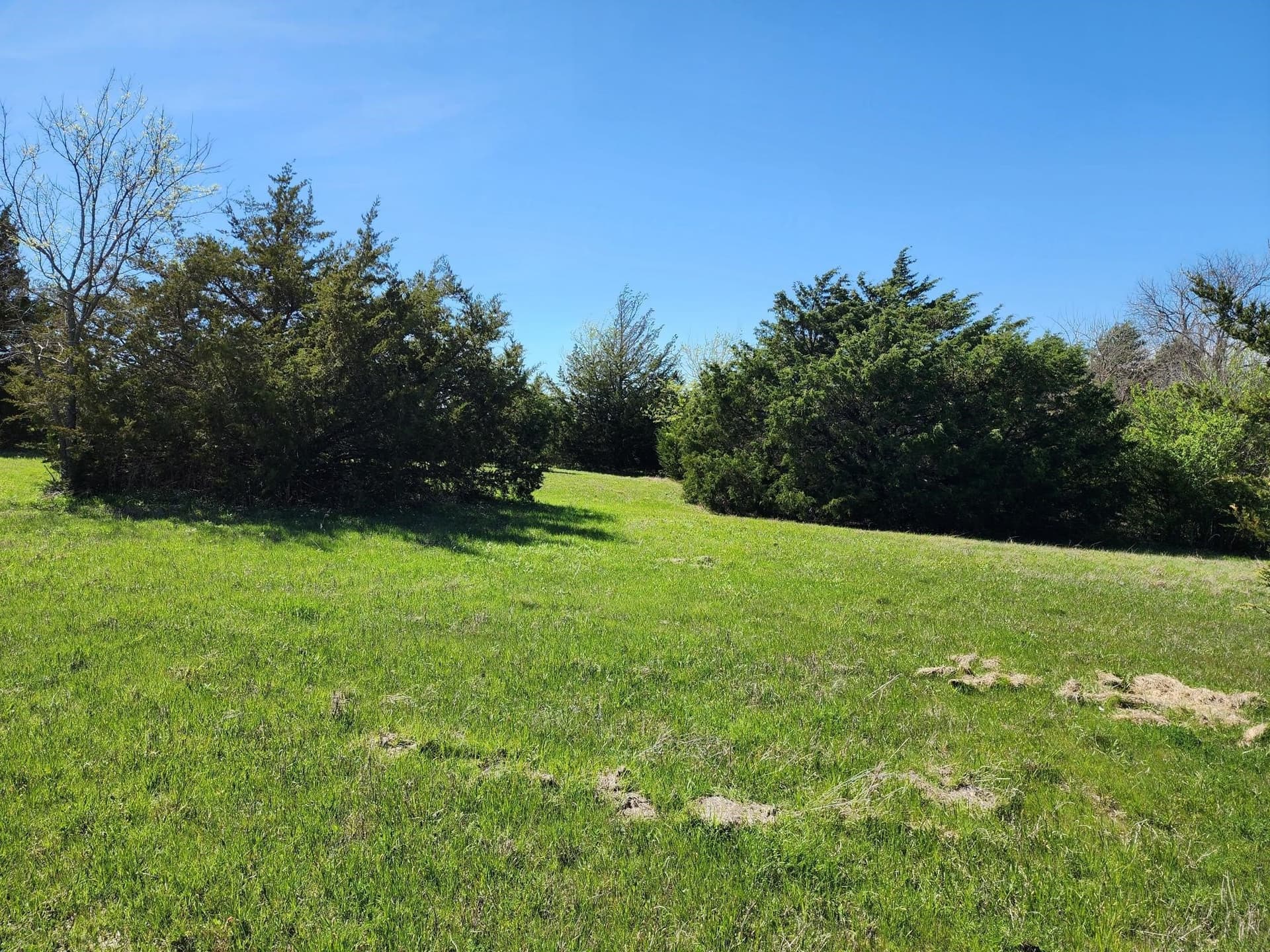 17.4 acres in Collin County - photo 17