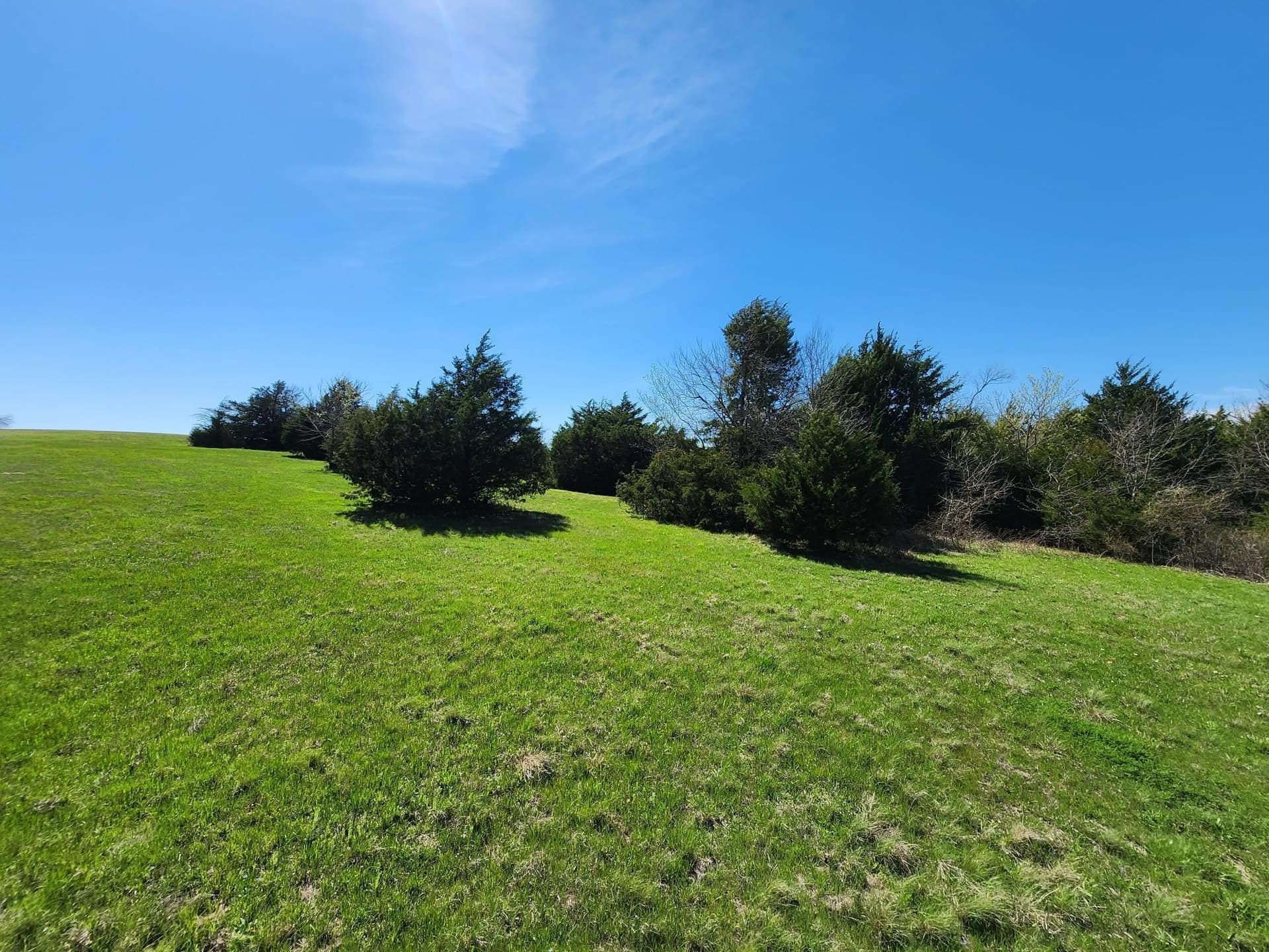 17.4 acres in Collin County - photo 15