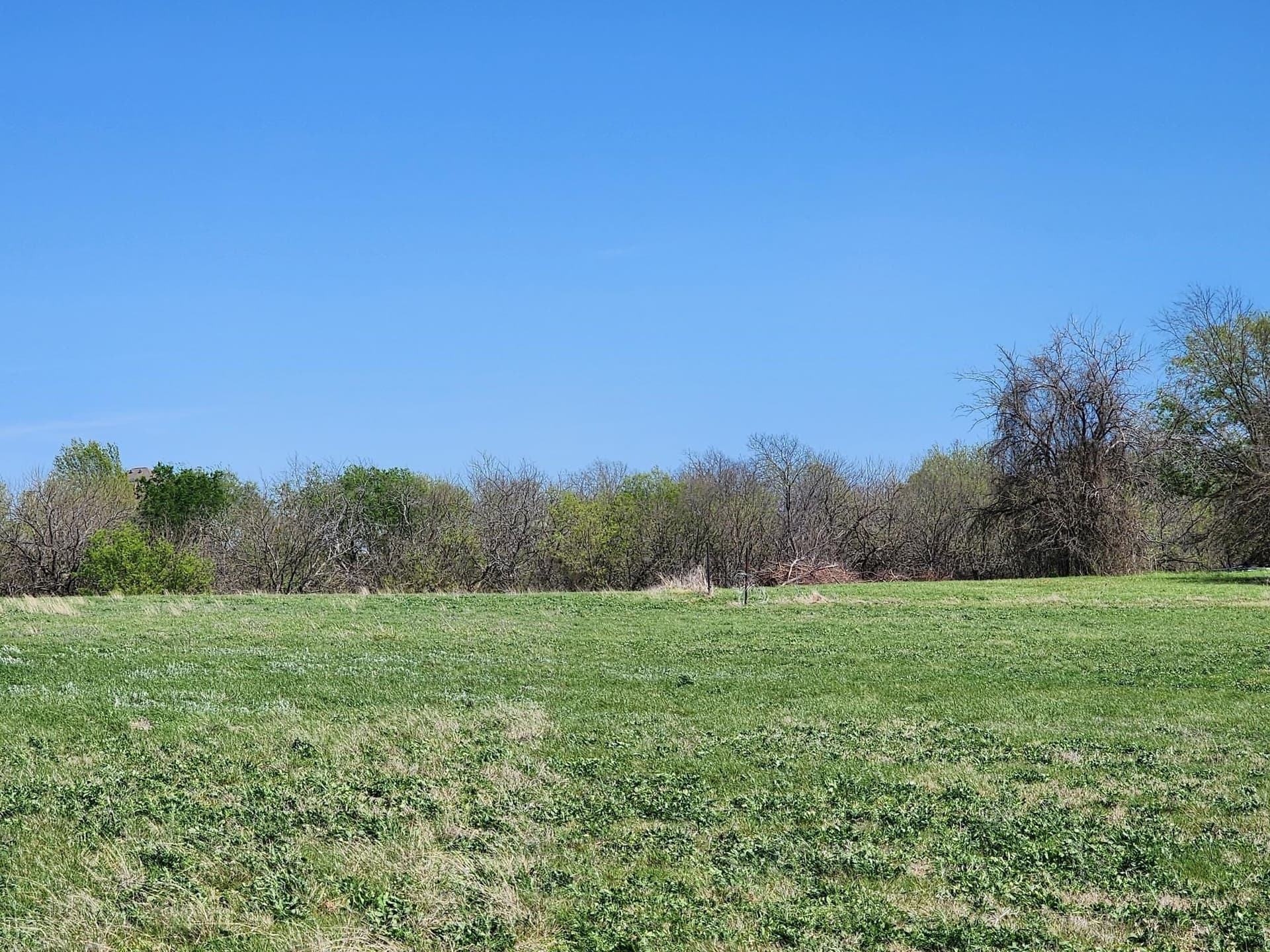 17.4 acres in Collin County - photo 12