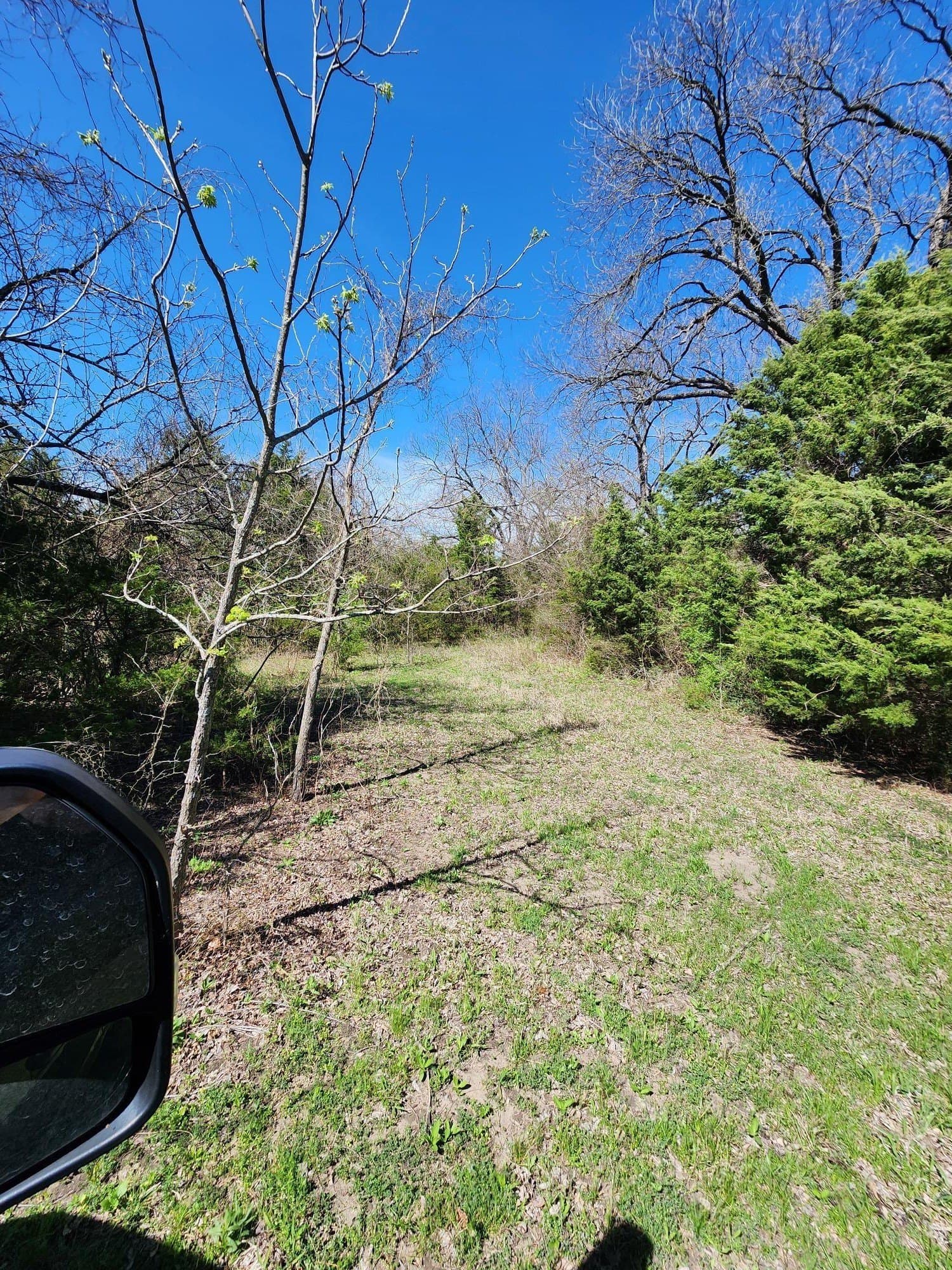 17.4 acres in Collin County - photo 16