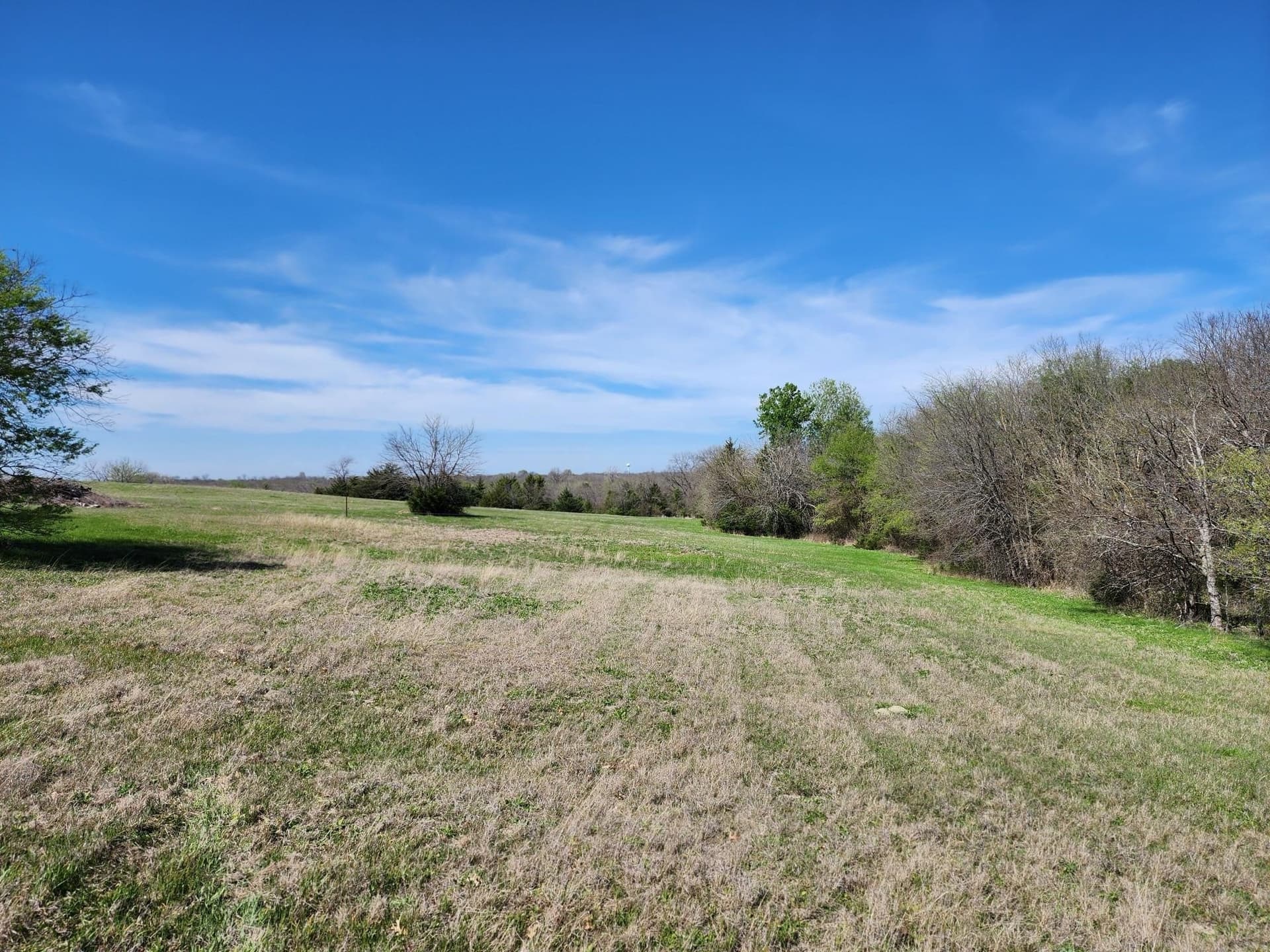 17.4 acres in Collin County gallery image 4