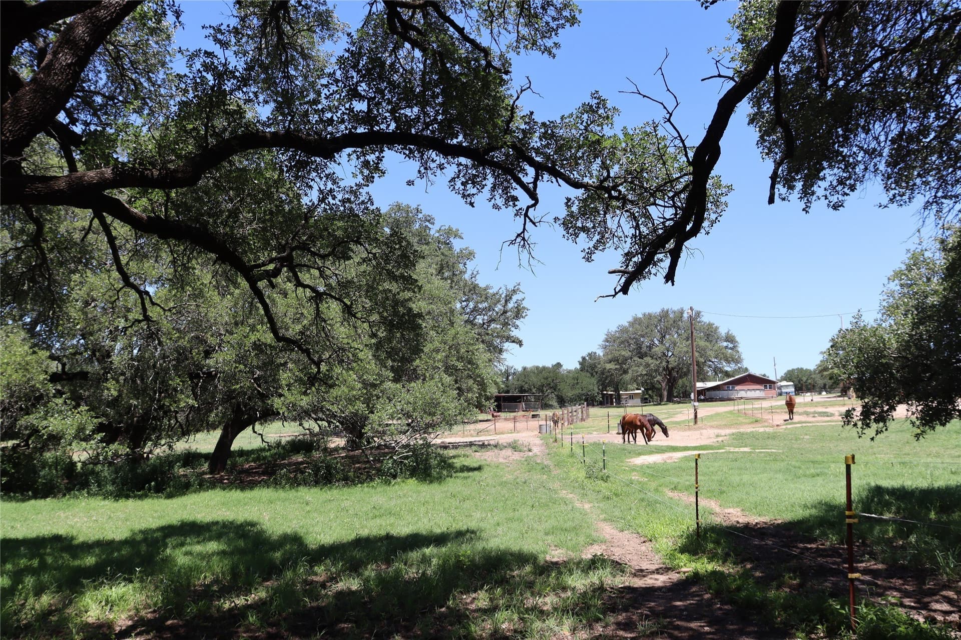 21.63 acres in Comanche County - photo 24