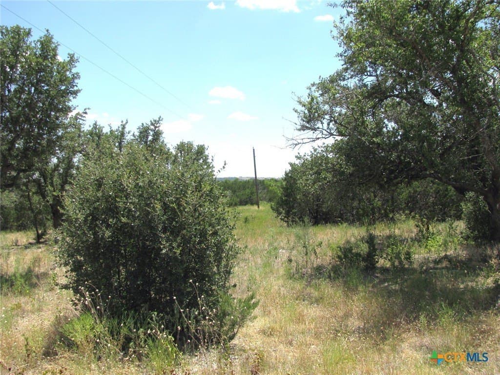20 acres in Hamilton County - photo 3