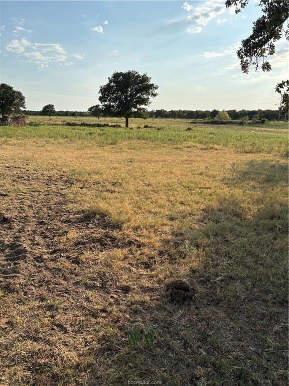 176 acres in Texas County - photo 3