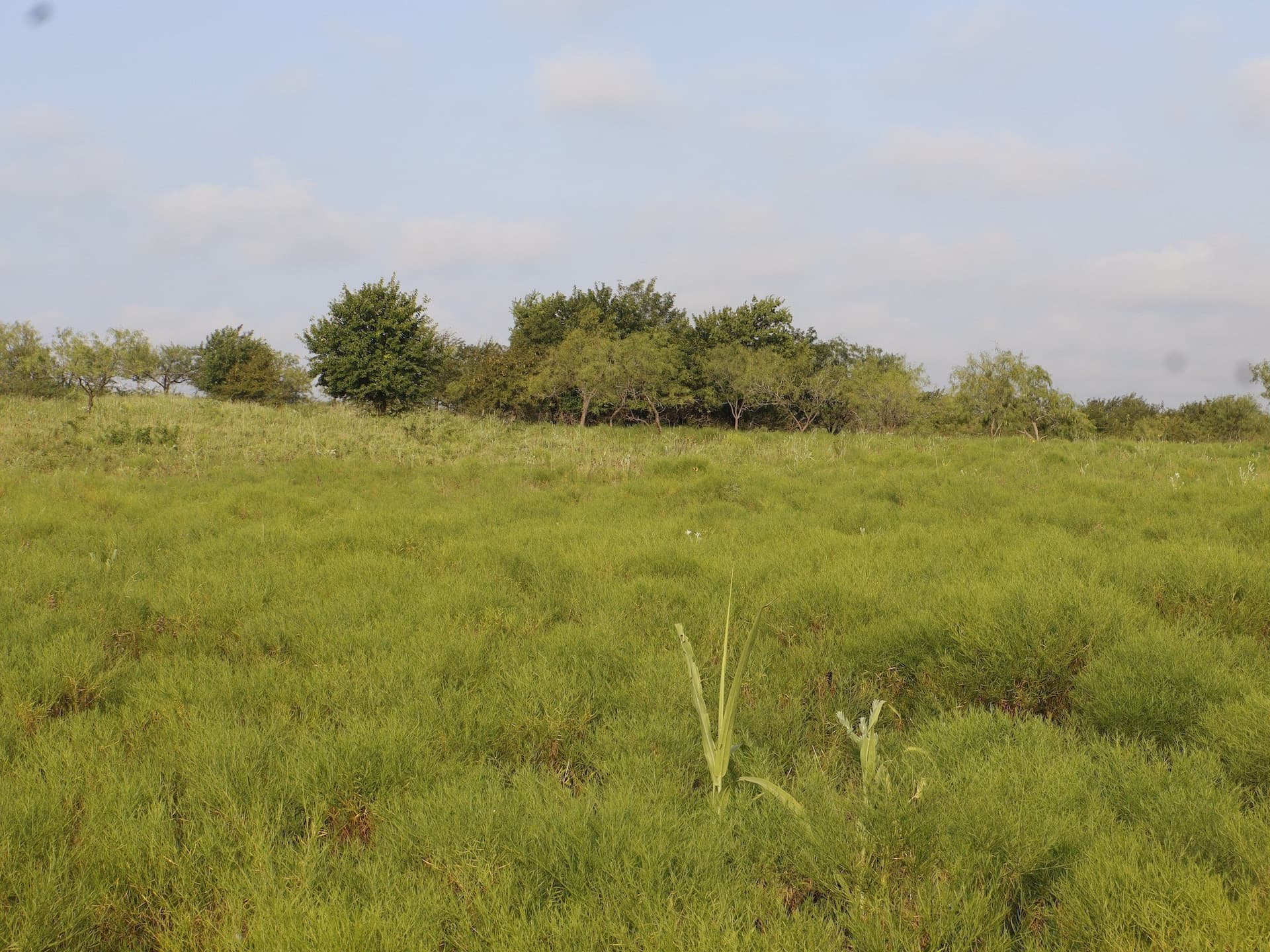 9.23 acres in Ellis County - photo 12