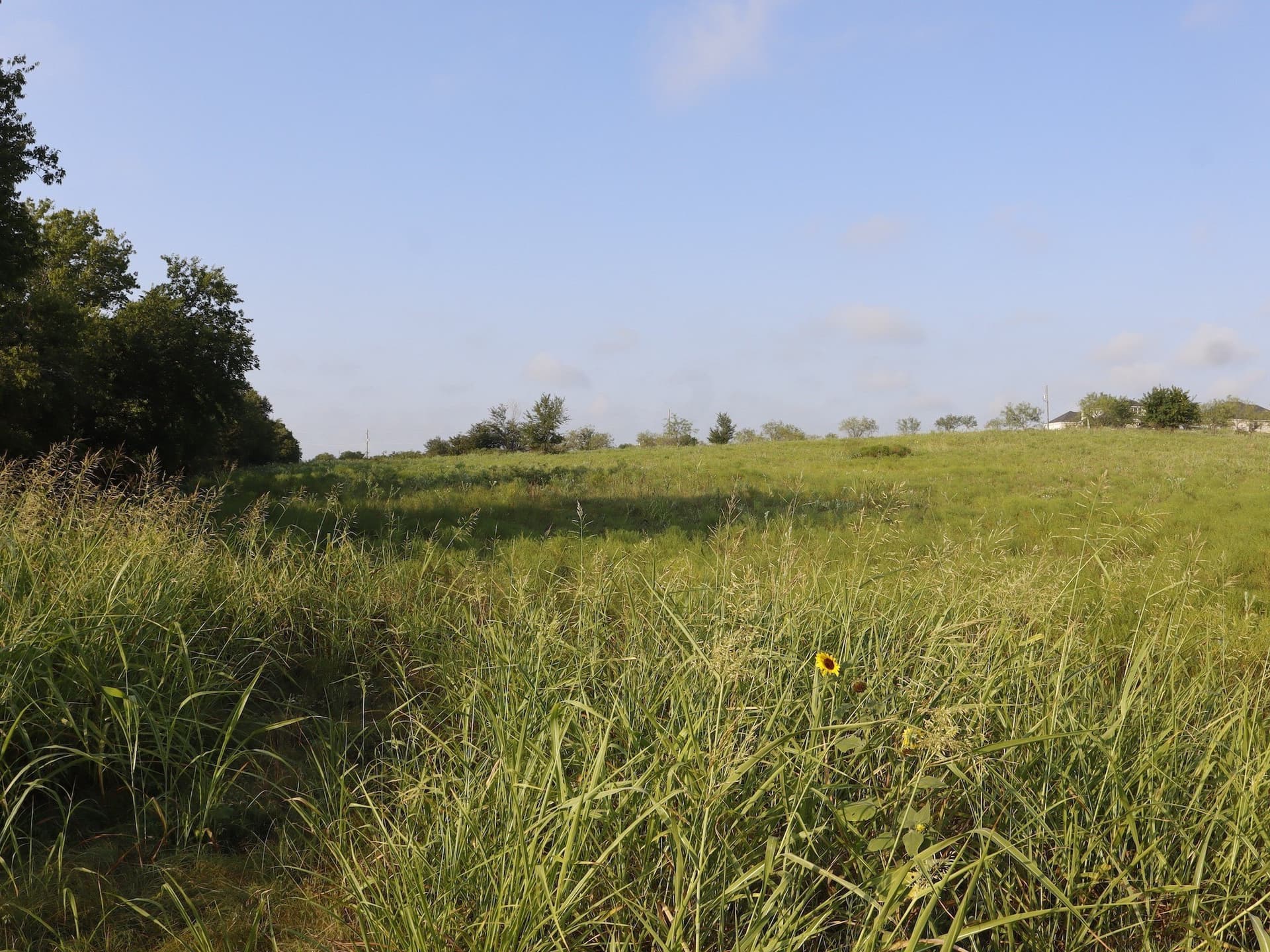 9.23 acres in Ellis County - photo 9