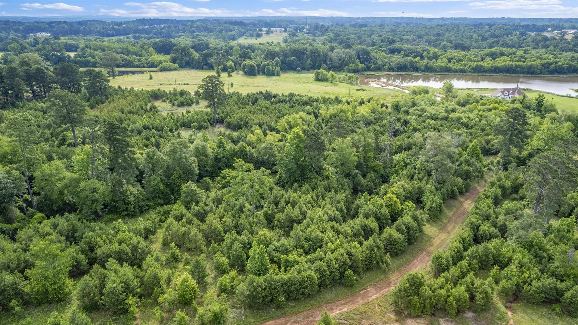 4.03 acres in Texas County gallery image 4