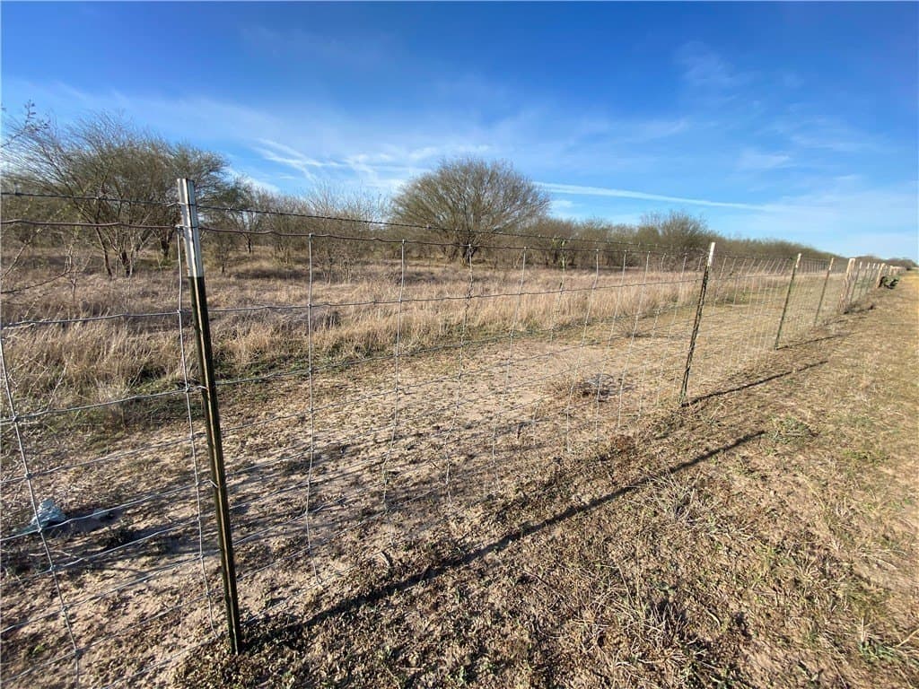 20 acres in Jim Wells County