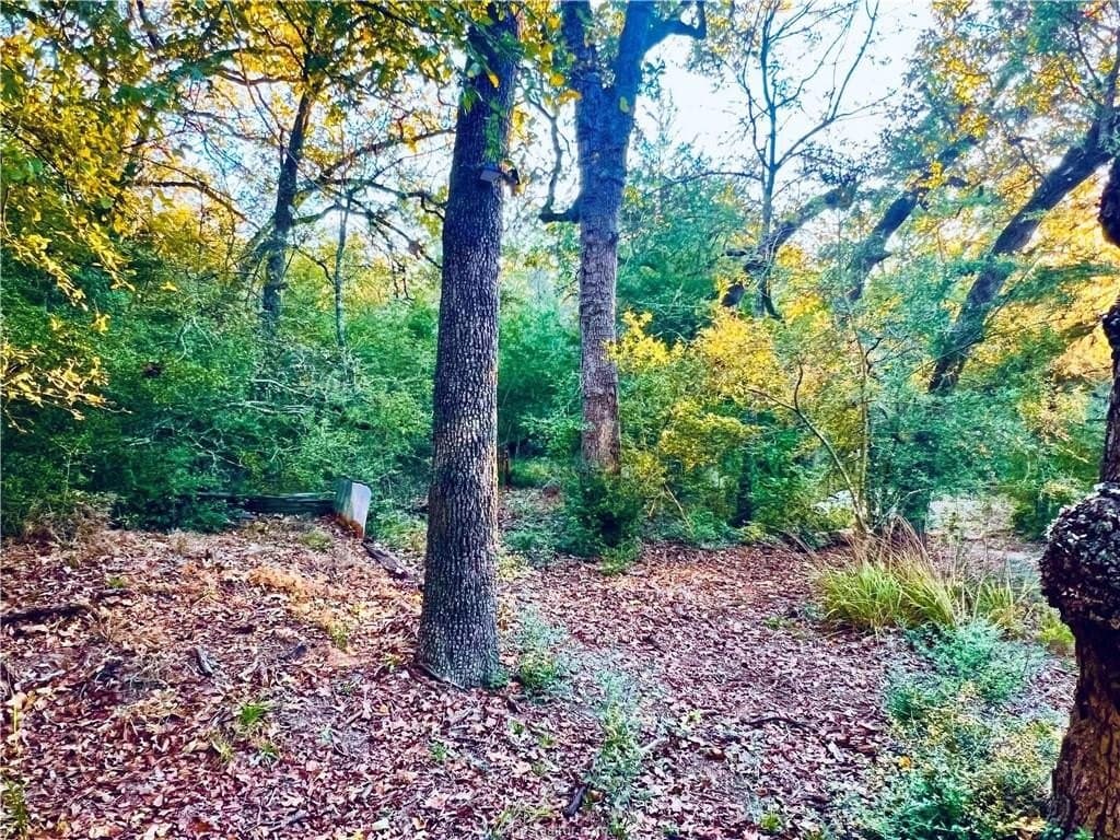 1.5 acres in Leon County - photo 8
