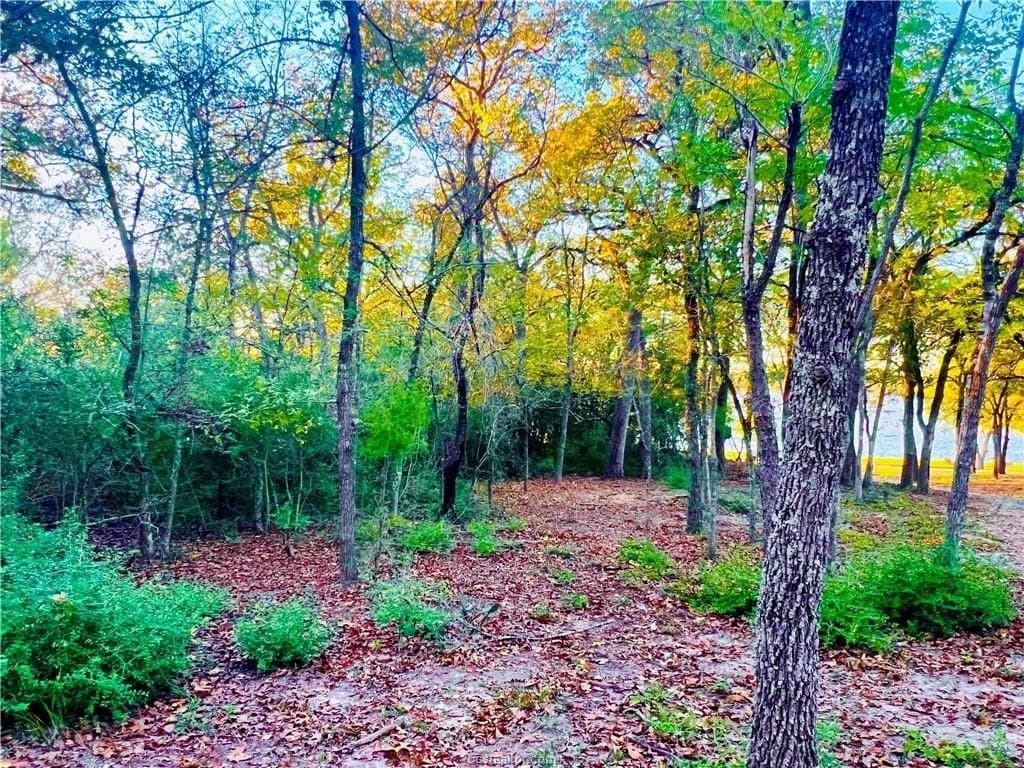 1.5 acres in Leon County - photo 6