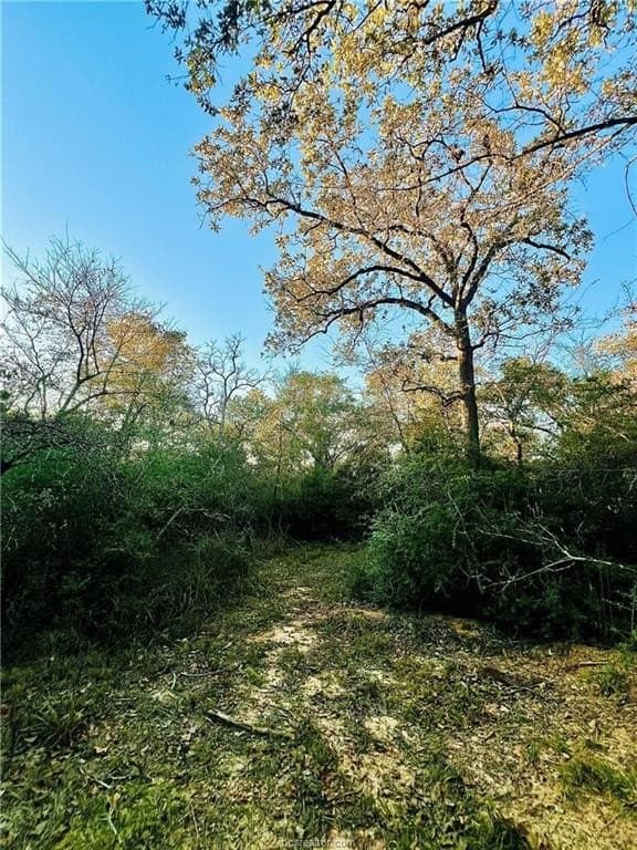 1.5 acres in Leon County - photo 7