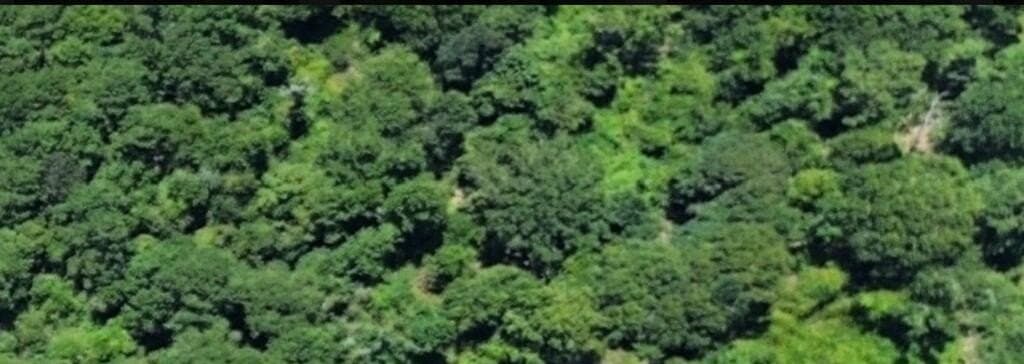 3.5 acres in Texas County - photo 3