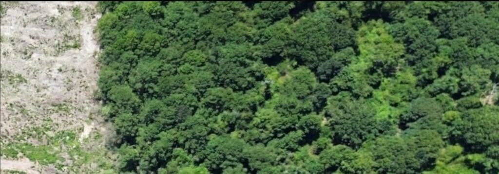 3.5 acres in Texas County - photo 2