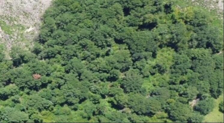 3.5 acres in Texas County - photo 4