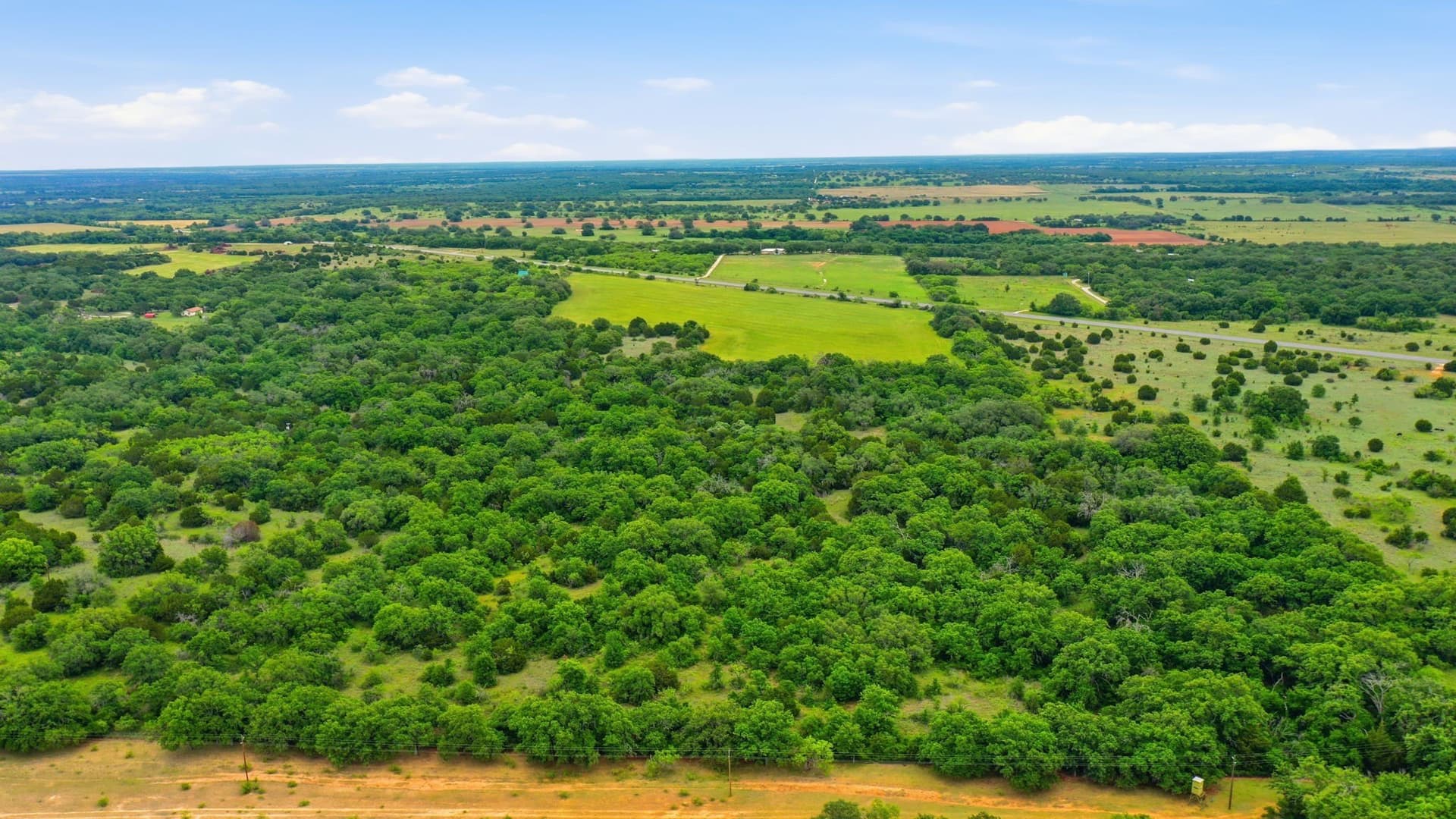 44 acres in Callahan County gallery image 3