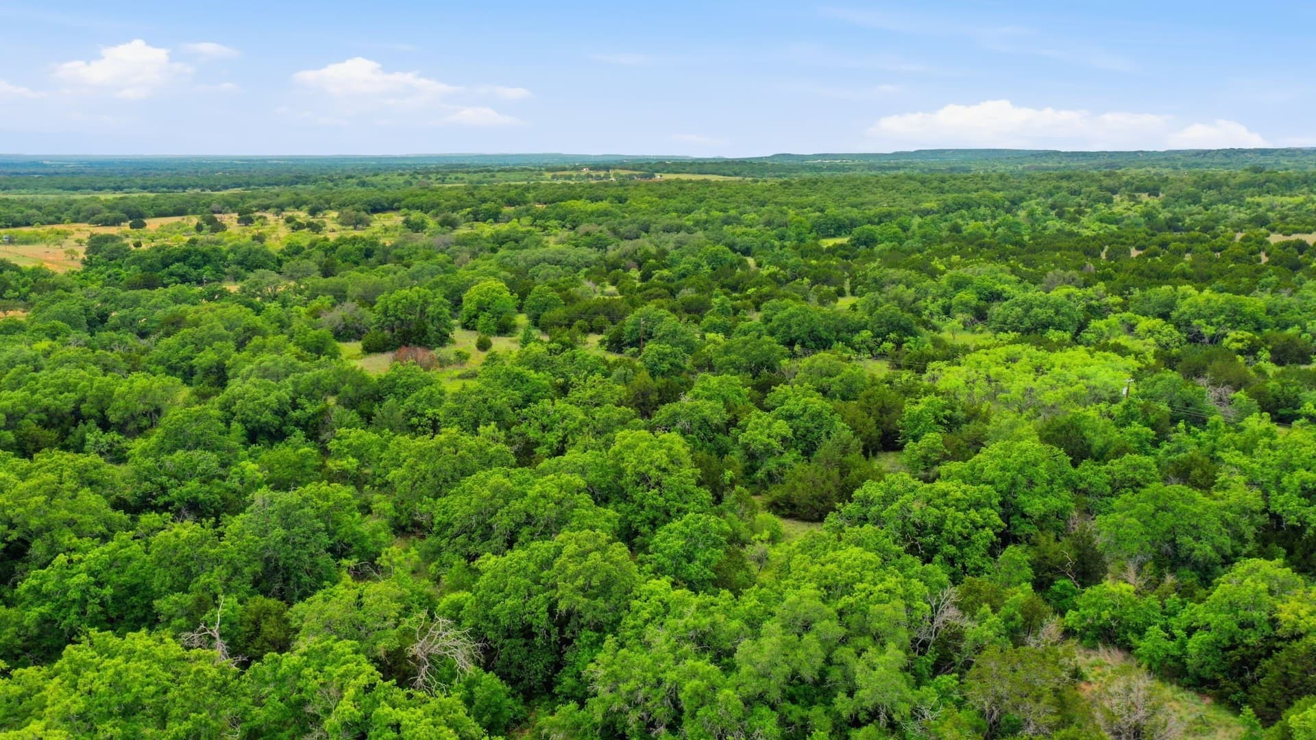 44 acres in Callahan County gallery image 4