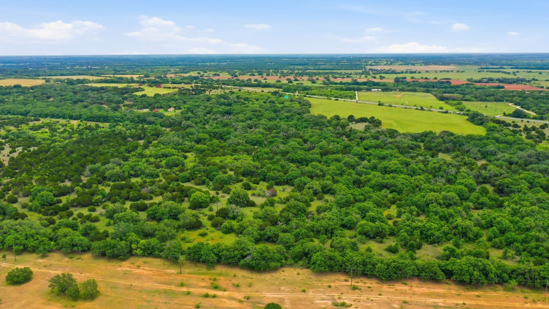 44 acres in Callahan County gallery image 2