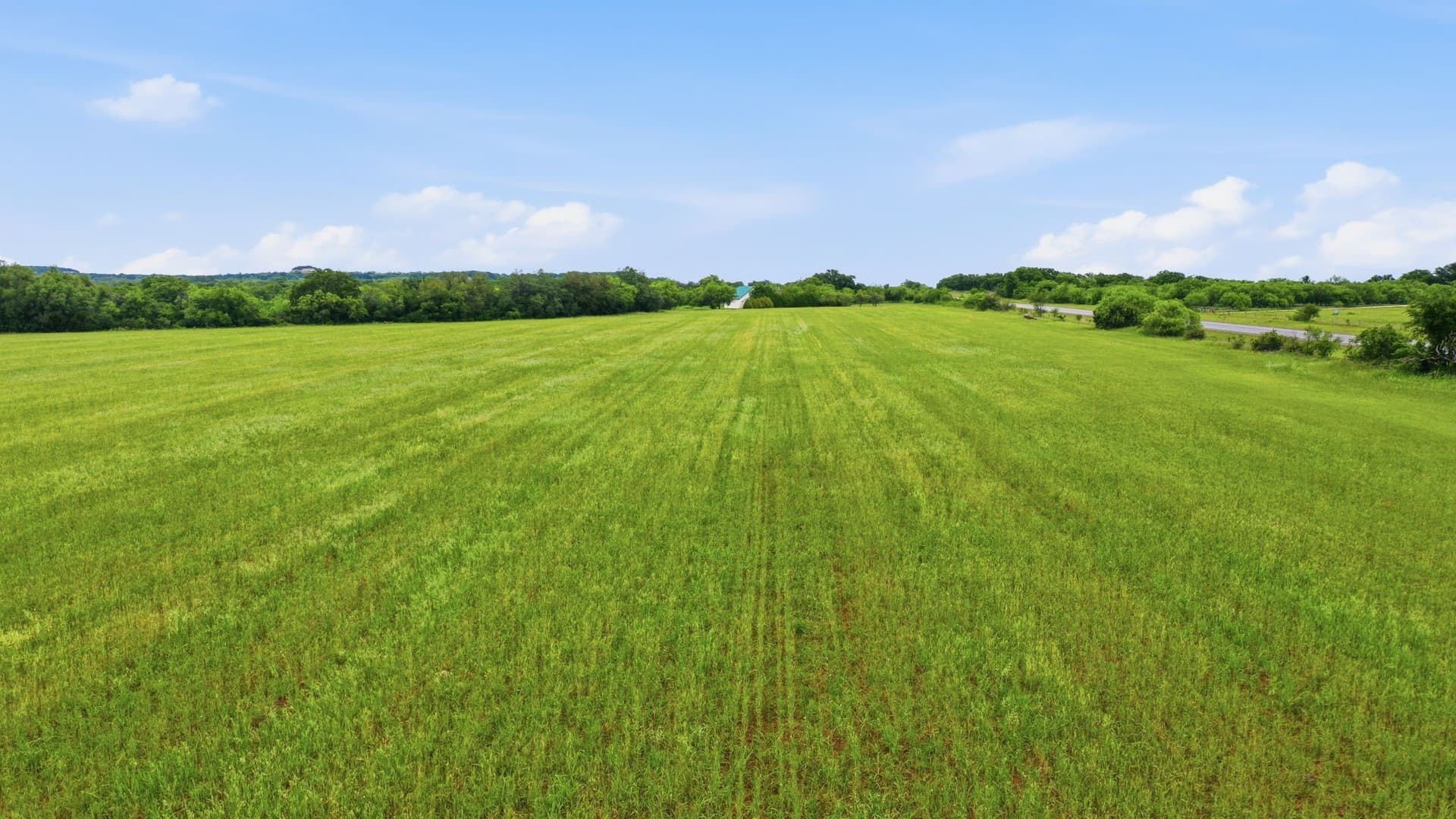 44 acres in Callahan County featured view