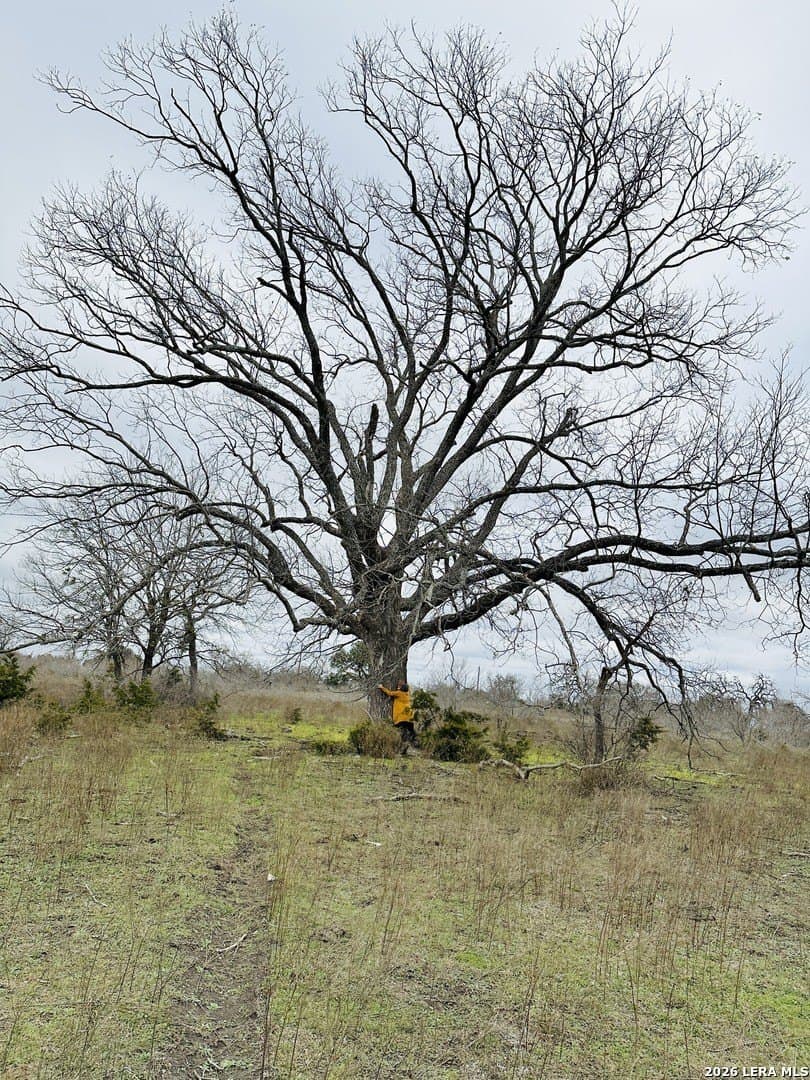 11 acres in Coryell County gallery image 3