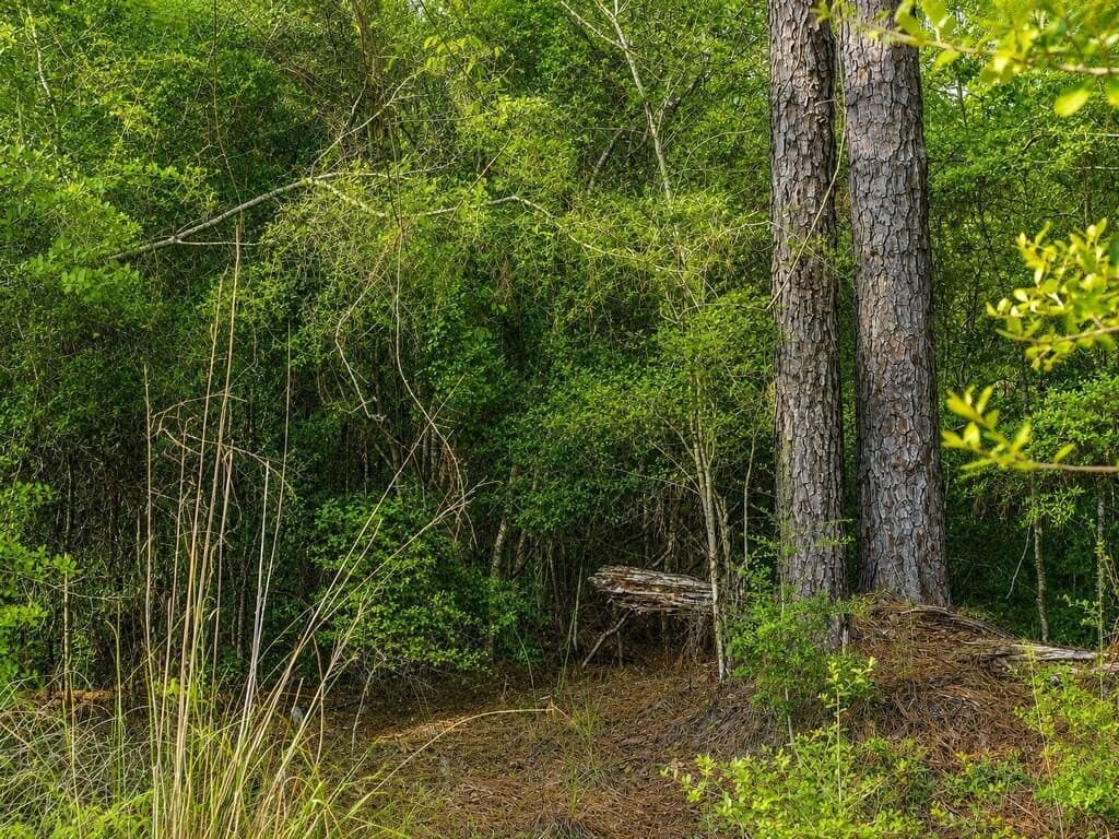 0.23 acres in Texas County - photo 3