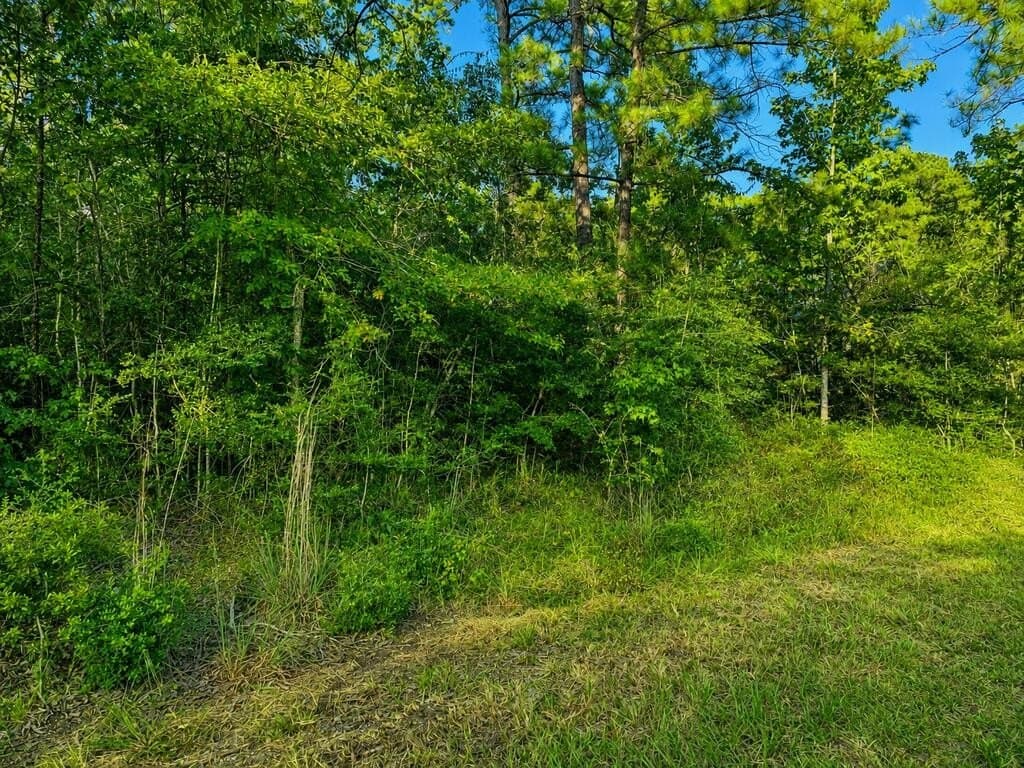 0.23 acres in Texas County - photo 16