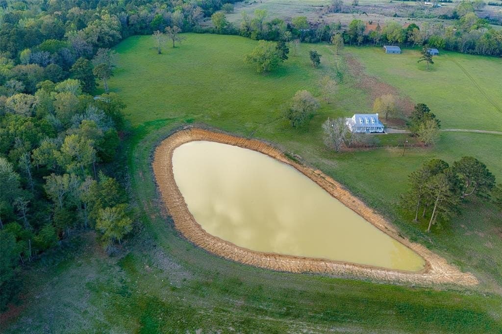 43.11 acres in Houston County gallery image 3