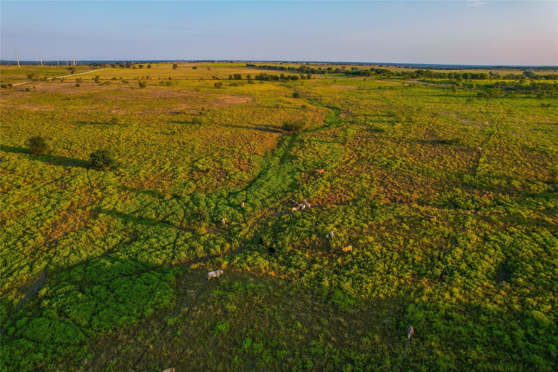 431.05 acres in Bosque County - photo 36