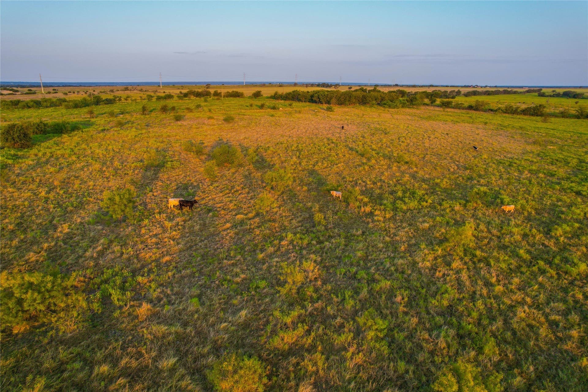 431.05 acres in Bosque County - photo 17